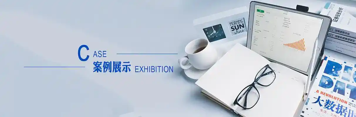 绥中县软件开发